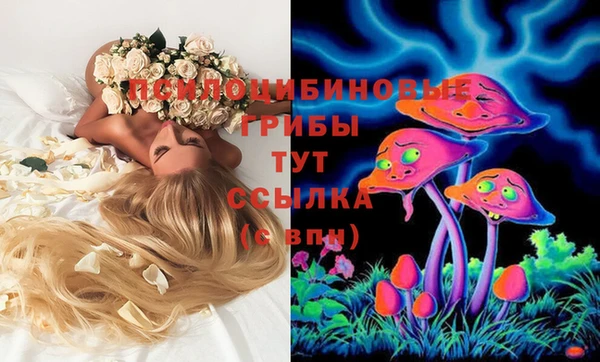 прущие грибы Алексин