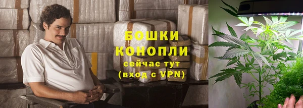 ПСИЛОЦИБИНОВЫЕ ГРИБЫ Алзамай