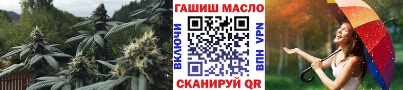 ТГК Wax Динская